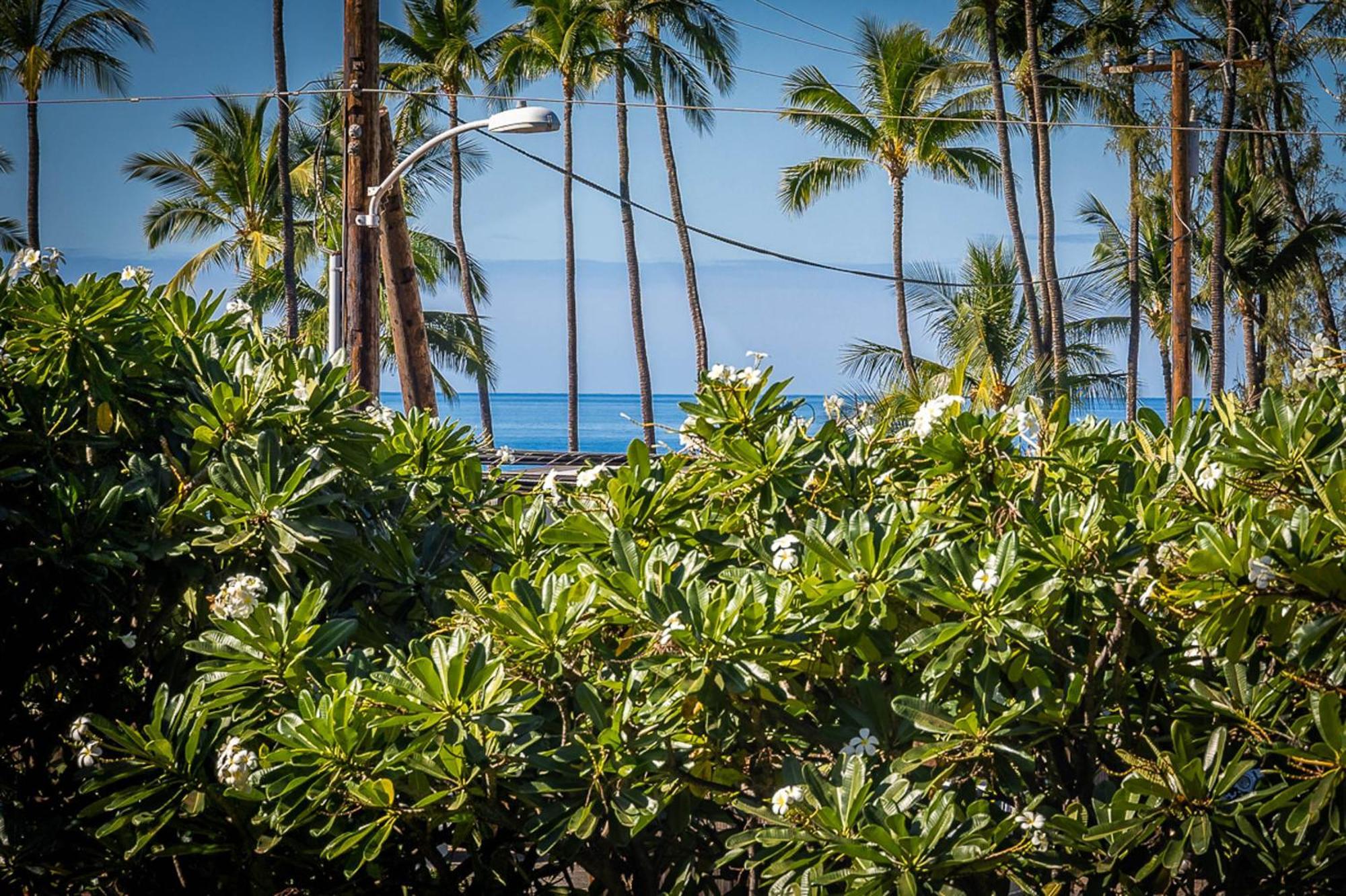 Maui Vista 1210 Leilighet Kihei Eksteriør bilde
