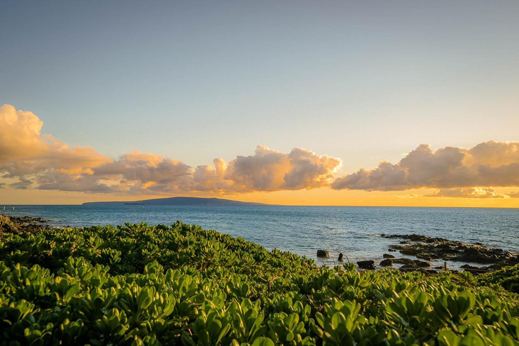 Maui Vista 1210 Leilighet Kihei Eksteriør bilde